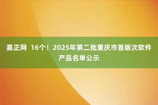 嘉正网  16个！2025年第二批重庆市首版次软件产品名单公示