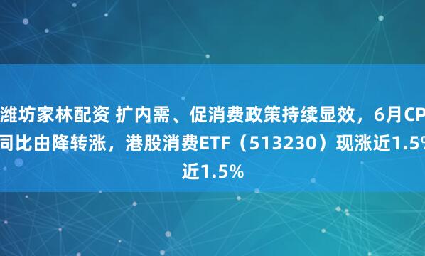 潍坊家林配资 扩内需、促消费政策持续显效，6月CPI同比由降转涨，港股消费ETF（513230）现涨近1.5%