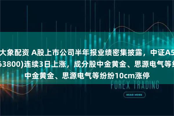 大象配资 A股上市公司半年报业绩密集披露，中证A500ETF龙头(563800)连续3日上涨，成分股中金黄金、思源电气等纷纷10cm涨停