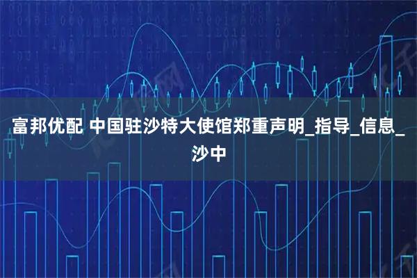 富邦优配 中国驻沙特大使馆郑重声明_指导_信息_沙中