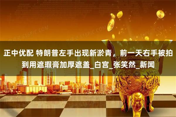 正中优配 特朗普左手出现新淤青，前一天右手被拍到用遮瑕膏加厚遮盖_白宫_张笑然_新闻